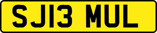 SJ13MUL