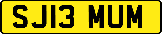 SJ13MUM