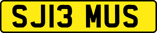 SJ13MUS