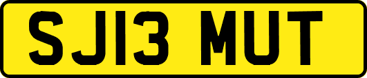 SJ13MUT