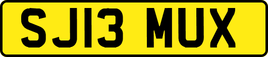 SJ13MUX