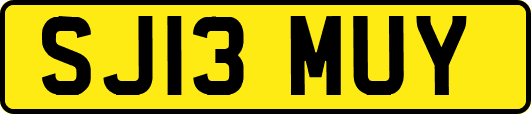 SJ13MUY