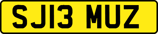 SJ13MUZ