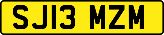 SJ13MZM