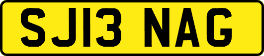 SJ13NAG