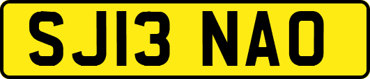 SJ13NAO