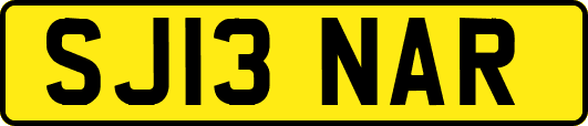 SJ13NAR