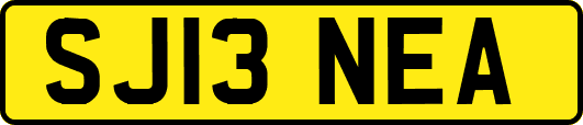 SJ13NEA