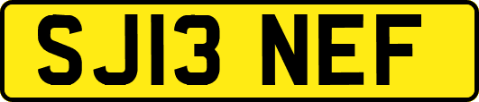 SJ13NEF