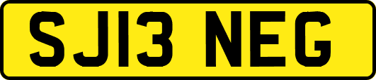 SJ13NEG