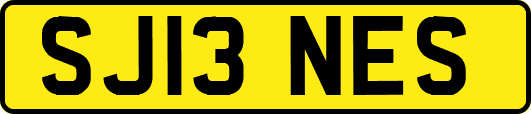 SJ13NES