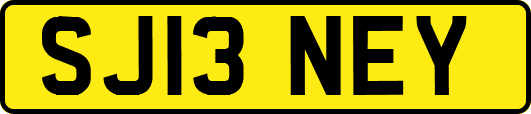 SJ13NEY