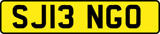 SJ13NGO
