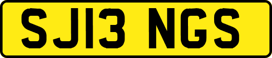 SJ13NGS
