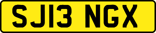 SJ13NGX