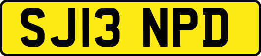 SJ13NPD