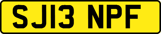 SJ13NPF