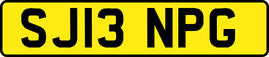 SJ13NPG