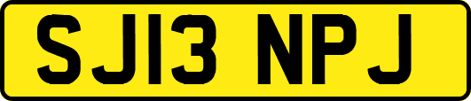 SJ13NPJ