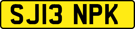 SJ13NPK