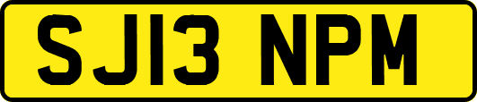 SJ13NPM