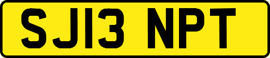 SJ13NPT