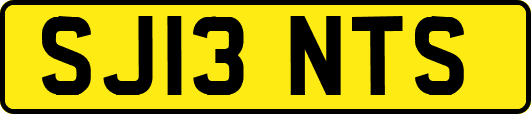 SJ13NTS