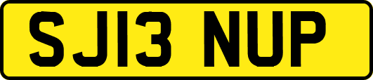 SJ13NUP