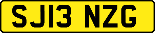 SJ13NZG
