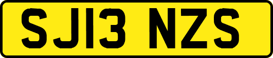 SJ13NZS