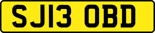 SJ13OBD