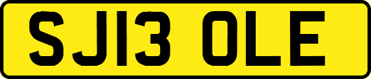 SJ13OLE