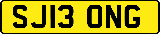SJ13ONG