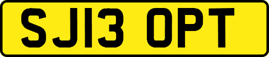 SJ13OPT