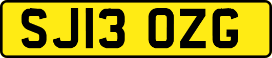 SJ13OZG