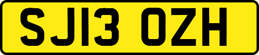 SJ13OZH