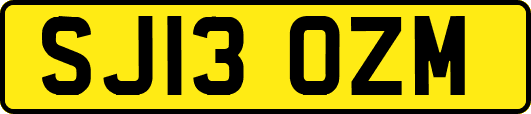 SJ13OZM