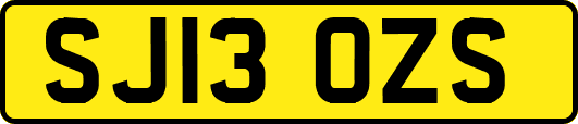 SJ13OZS