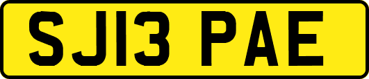 SJ13PAE