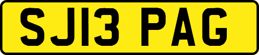 SJ13PAG