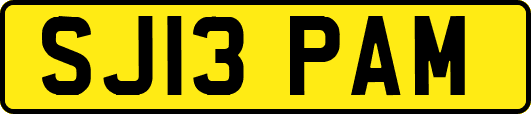 SJ13PAM