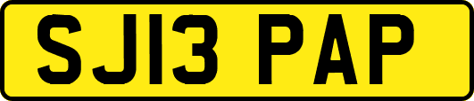 SJ13PAP