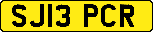 SJ13PCR