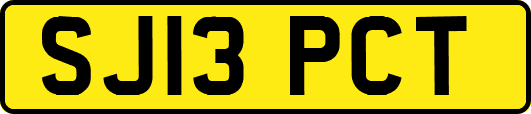 SJ13PCT