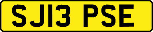 SJ13PSE