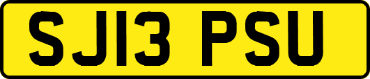 SJ13PSU