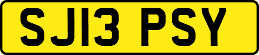 SJ13PSY