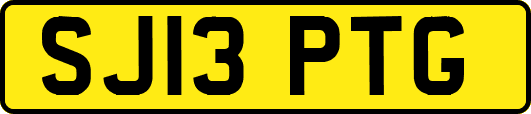 SJ13PTG