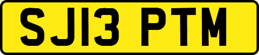 SJ13PTM