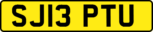 SJ13PTU